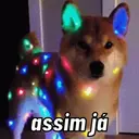 Klistermärke