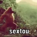 ஸ்டிக்கர்
