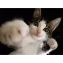 ස්ටිකර්