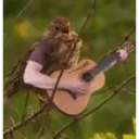 Կպչուն պիտակ