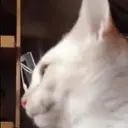 สติกเกอร์