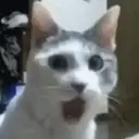 ملصق