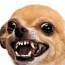 Adhesiu
