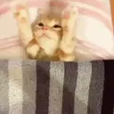 스티커
