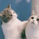 스티커