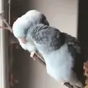 스티커