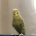 스티커