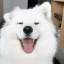 스티커