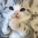 스티커