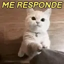 Stika