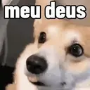 贴纸