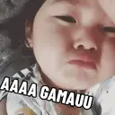 贴纸