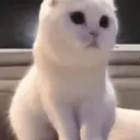 Çıkartma