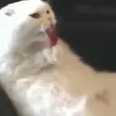 Çıkartma