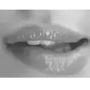 স্টিকার