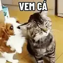 ملصق