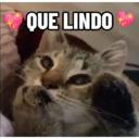 Límmiði