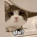 Límmiði