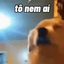 Adhesiu
