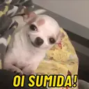 Adhesiu