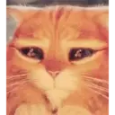 স্টিকার