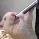 贴纸