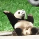 贴纸