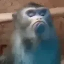 贴纸