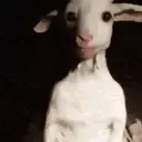 贴纸