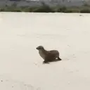 贴纸