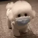 贴纸