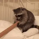 贴纸