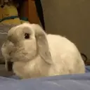 贴纸