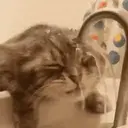 贴纸