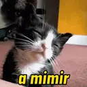מדבקה
