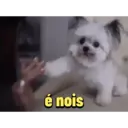 Autocollant