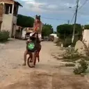 Կպչուն պիտակ