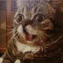 ملصق