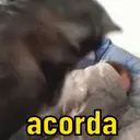 ملصق