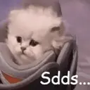 Stika