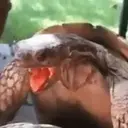 贴纸