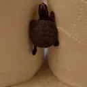 贴纸