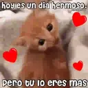 Figurinha