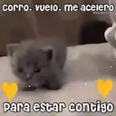 Figurinha
