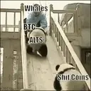 Límmiði