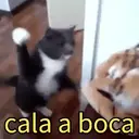 Autocolant