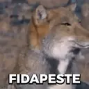 اسٹیکر
