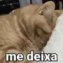 Nhãn dán