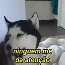 ملصق