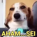 Figurinha